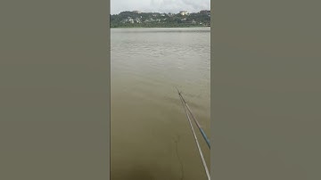 hôm nay em lại dẫn mọi người đi đi câu ở đảo Nổi Gia Nghĩa Đắk Nông #Shorts