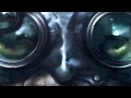 Beginning of video