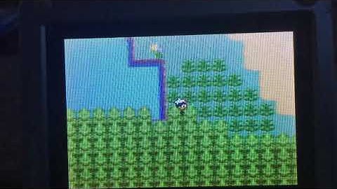 Full Odds Shiny Zigzagoon in Pokemon Ruby