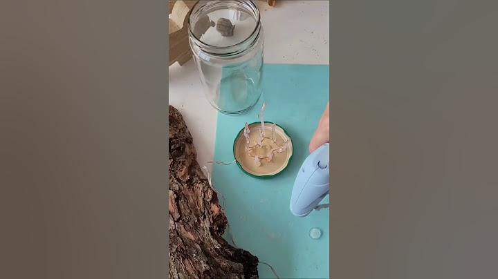 Leucht Pilze im Moos wald selbstgemacht : aus Lichterkette und Heisskleber Herbstdeko basteln