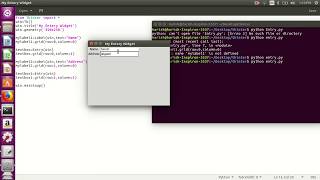 Python Tkinter-Entry