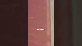 El agua rosa de Yucatán que no creerás que existe