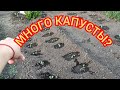 VLOG 27.05.2022 Выпускной в начальной школе//И зачем столько капусты??