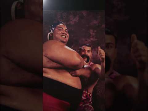 It Was All Love For Yokozuna 