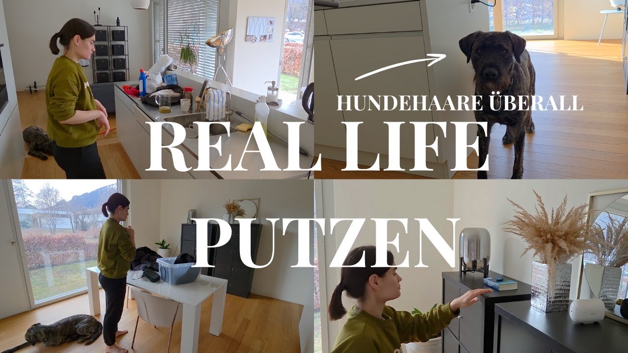 Wohnung aufräumen mit Hund 🐶✨ Realistische Putzroutine | Minimalistisch, ehrlich & ohne Filter
