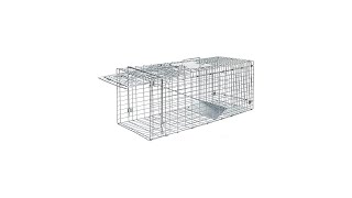 ANT MARCH Live Animal Cage Trap 32'' Steel Humane Release Rodent Cage for cat, Rabbits, Stray Cat,