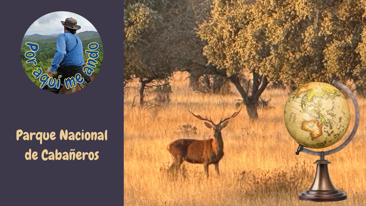 🦌🦅🐗 DE RUTA POR EL PARQUE NACIONAL DE CABAÑEROS