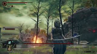 Cheese Flying Dragon Agheel Limgrave - Elden Ring