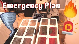 Pet Emergency Plan // How to prepare your pets for an emergency