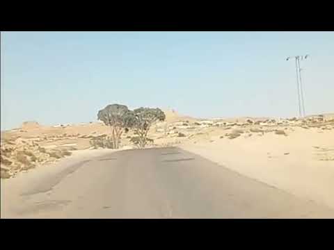 أولاد شهيدة عمارين البر و مهاميدة طويل المهيري و القدح و فريدة مقتطف من قصيدة الذيب لمحمد لمرد