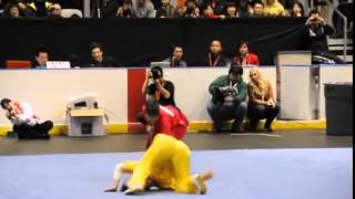 Exhibicion de wushu
