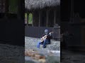 #shorts   #guitar jurământ la Putna