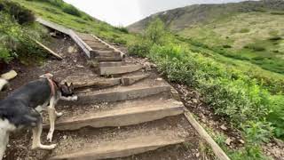 Flattop Trailhead | Anchorage Alaska Flattop Hiking trail