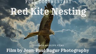 Red Kite Documentary - Nest Building to Red Kites First Flight