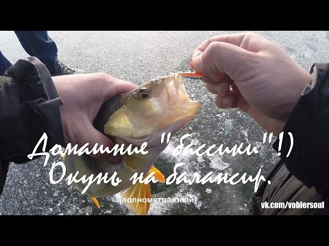 Ловля крупного окуня на балансир в ноябре. Зимняя рыбалка. Видео отчет от 26 ноября 2015.