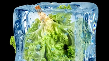 1 Bit 2 Bit 4 Bit 8 Bit 16 BIT 32 Bit 128 Bit 256 Bit 512 Bit 1024 Bit 2048 Bit 4096 Bit 8192 Bit