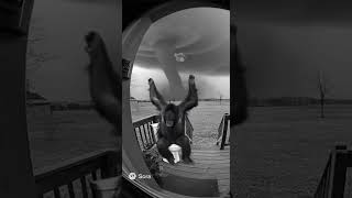 Monkey Gets Sucked Into Tornado Ai