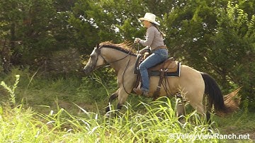 Lulus Diamond Acres - trail riding! - ValleyViewRanch.net