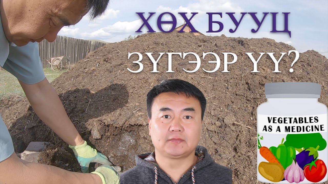 Хөх бууц зүгээр үү?  Is it safe to use raw manure?