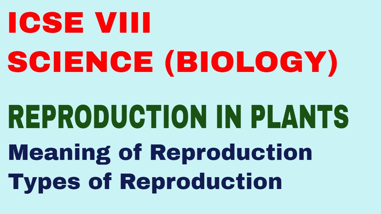 Reproduction Synonym