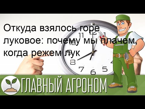 Откуда взялось горе луковое: почему мы плачем, когда режем лук