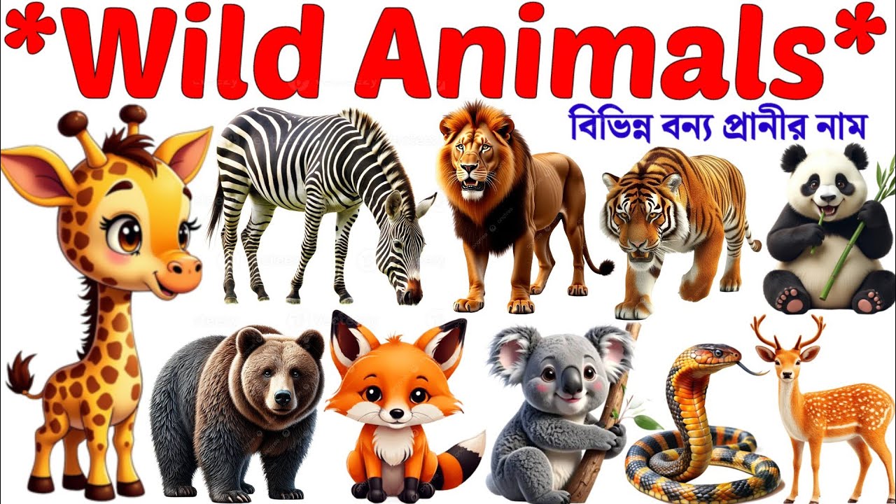 বিভিন্ন বন্য প্রানীর নাম | Wild Animals name English​ to Bengali | Animals Name for Kids​ Vocabulary