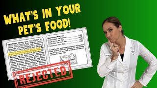 How To Read Pet Food Labels With Holistic Veterinarian Dr. Katie Woodley by Dr. Katie Woodley - The Natural Pet Doctor 1,281 views 10 months ago 22 minutes