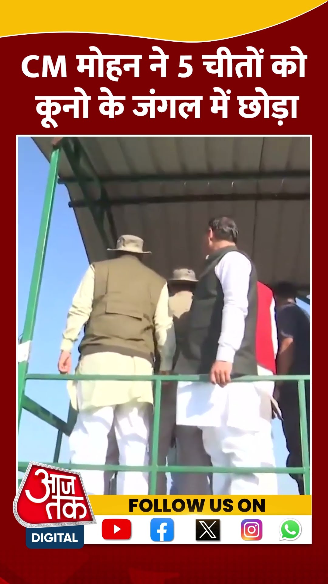CM Mohan Yadav ने 5 चीतों को Kuno के जंगल में छोड़ा #shorts #viral #shortvideo #kunonationalpark