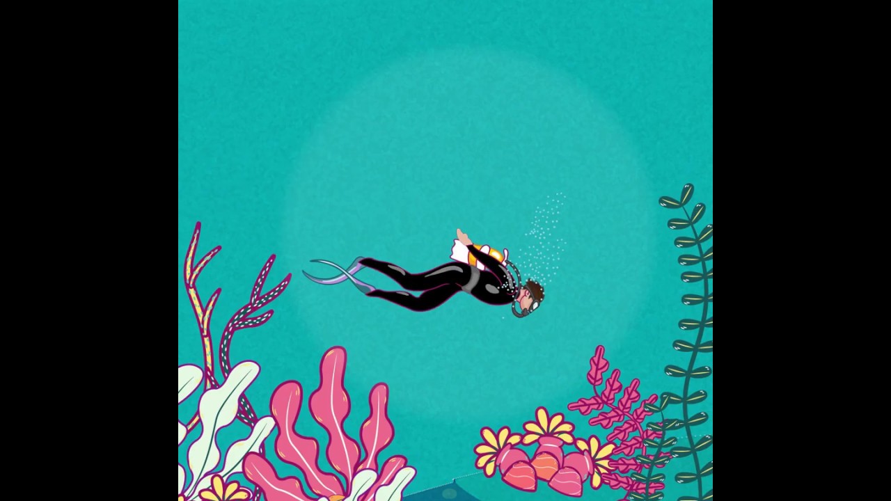 Dive Master Card Game YouTube