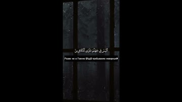 Красавое чтение Корана علي صلاح عمر / سورة العنكبوت