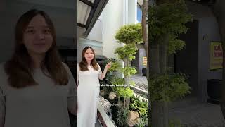 Front yard makeover ala pinshome! 🥰 #homeliving #homedecor