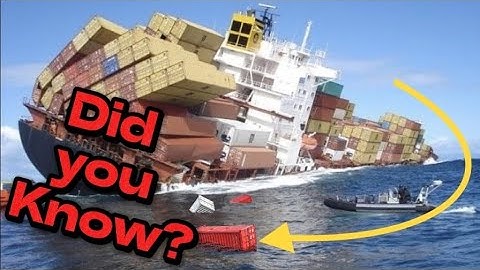 How containers are organized and stacked within a vessel’s structure  #shipping  #viralvideo