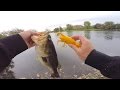 Baby DUCK Lure Fishing Challenge?