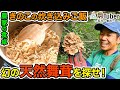 幻の”天然舞茸”を探せ！農家の食卓・きのこの炊き込みご飯 ～石川・金沢～ 第2代農Tuber 山下冷治 / JAグループ「農Tuber」ちゃんねる