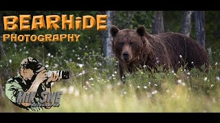 Wild bear photography