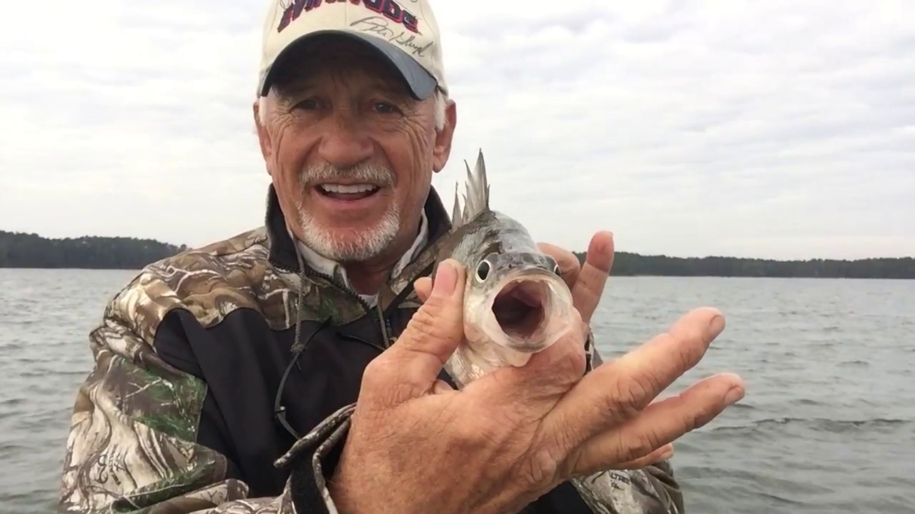 Full Moon Fishing On A Windy Day YouTube full-moon-fishing-on-a-windy-day-youtube