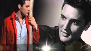 Echoes Of Love - Elvis Presley (Sottotitolato)