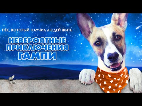 Видео: Невероятные приключения Гампи (Щемящий фильм из Чехии о разбитом собачьем сердце)