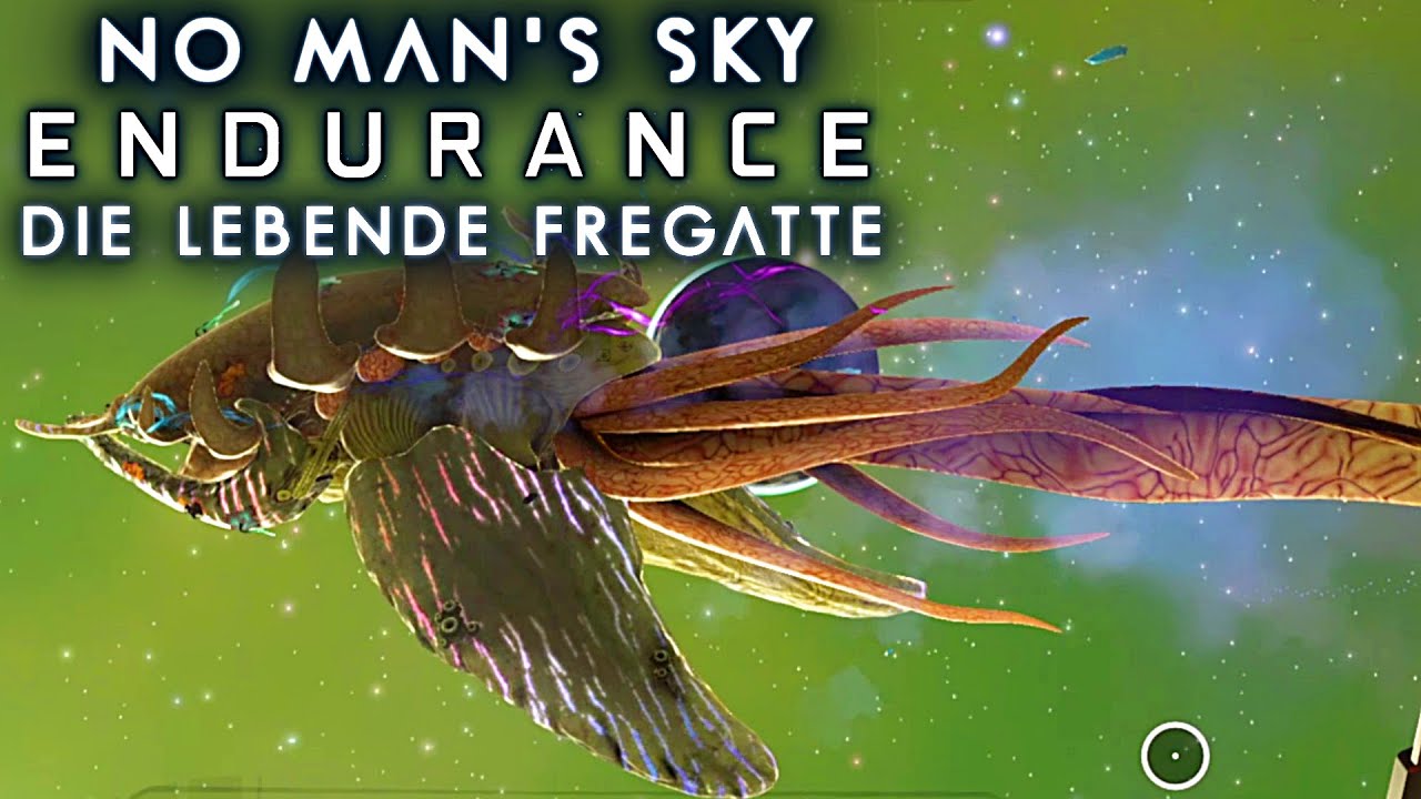 Ist Die Portaladresse Für Das Lebende Schiff No Man's Sky Jedes Mal Eine Andere LEBENDE FREGATTE No Man's Sky ENDURANCE deutsch german gameplay #23