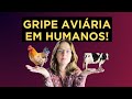 Gripe aviária em humanos! Será a nova pandemia?