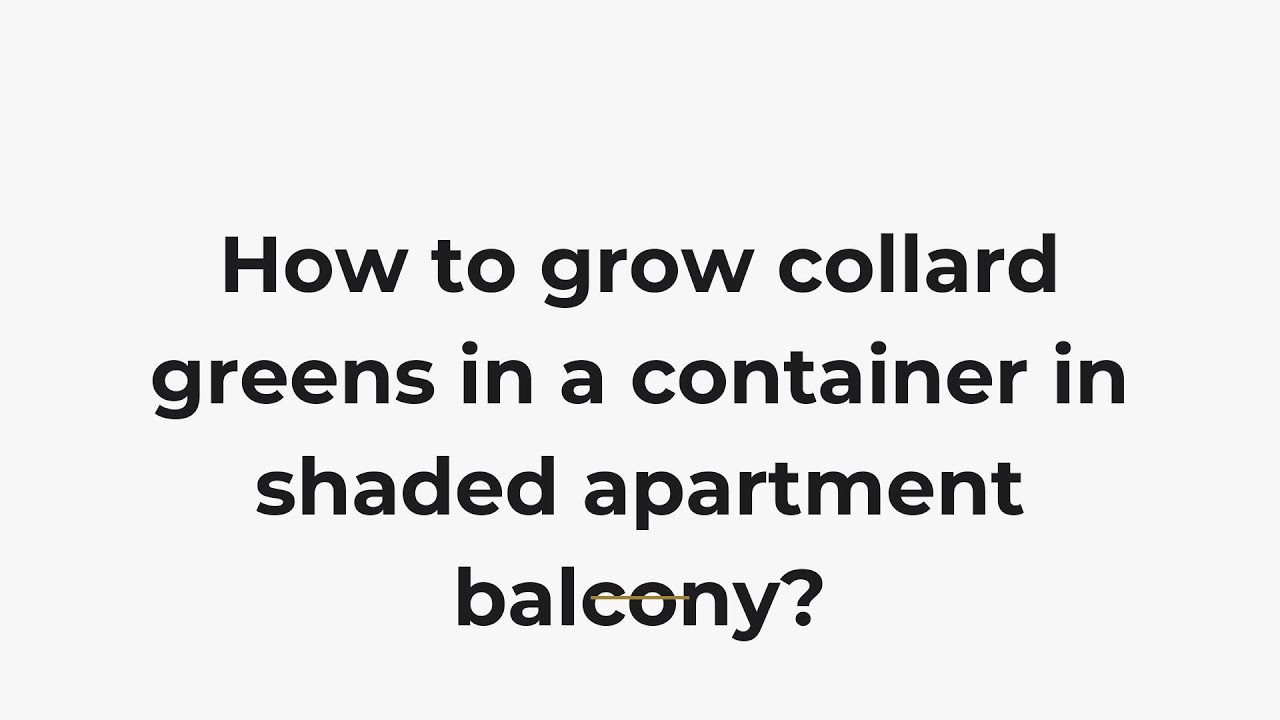 How to grow collard greens in a container in shaded apartment balcony ...