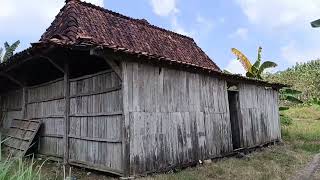 IF YOU ARE NOT MARRIED, DON'T WATCH, CLOSE THE SCREEN IMMEDIATELY..!! THE LIFE OF THE JAVANESE TR...