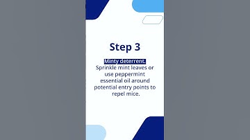 How to Get Rid of Mice