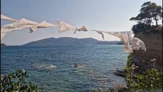 Daniel Luca - Ți as da florile iubirii 🤩🫶