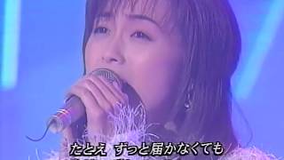酒井法子 碧いうさぎ 1995-10-16