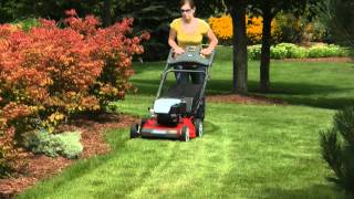 Snapper Lawn Mowers NXT Walk-Behind Mower Engine