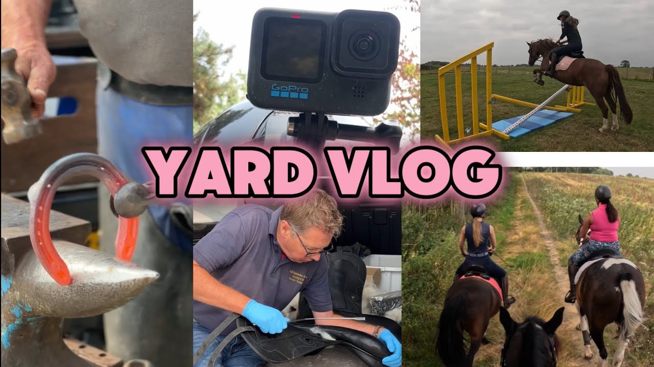 BUSY YARD VLOG 🐎| GO PRO FOOTAGE 😱FIFIS WELSH PONIES