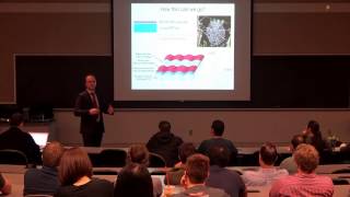 Soft Electronics - Martin Kaltenbrunner