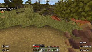 Village Generation Is Borked