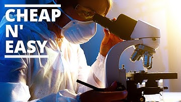 How To Test Soil pH Without A Test Kit